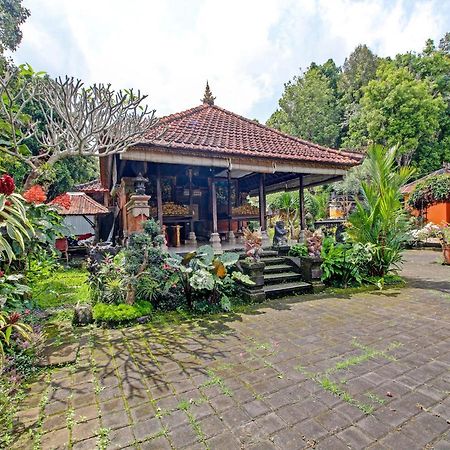 Oyo Homes 91091 Desa Wisata Umejero Munduk Εξωτερικό φωτογραφία
