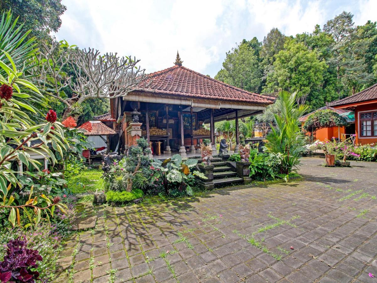 Oyo Homes 91091 Desa Wisata Umejero Munduk Εξωτερικό φωτογραφία