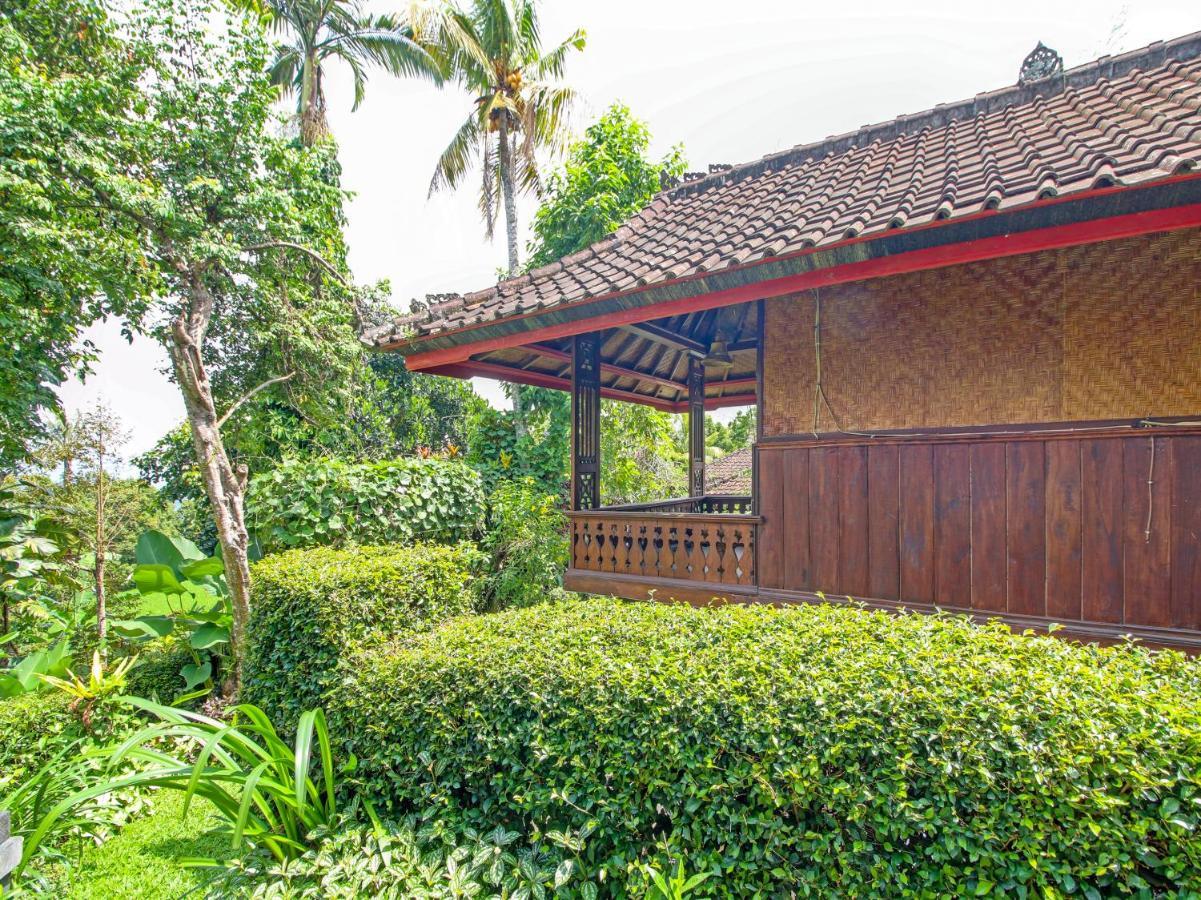 Oyo Homes 91091 Desa Wisata Umejero Munduk Εξωτερικό φωτογραφία