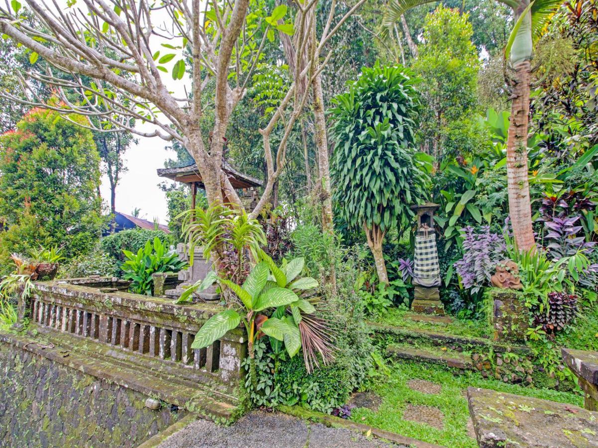 Oyo Homes 91091 Desa Wisata Umejero Munduk Εξωτερικό φωτογραφία