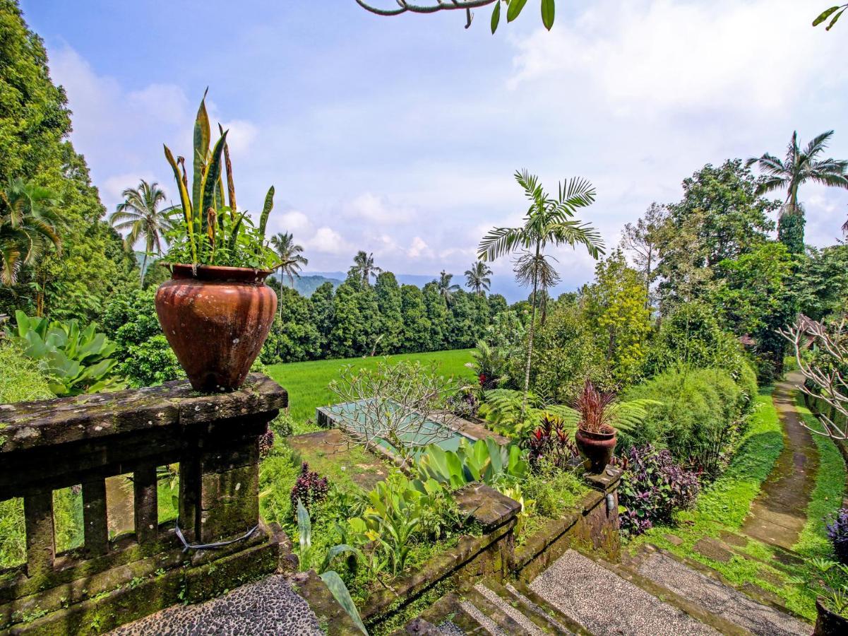 Oyo Homes 91091 Desa Wisata Umejero Munduk Εξωτερικό φωτογραφία