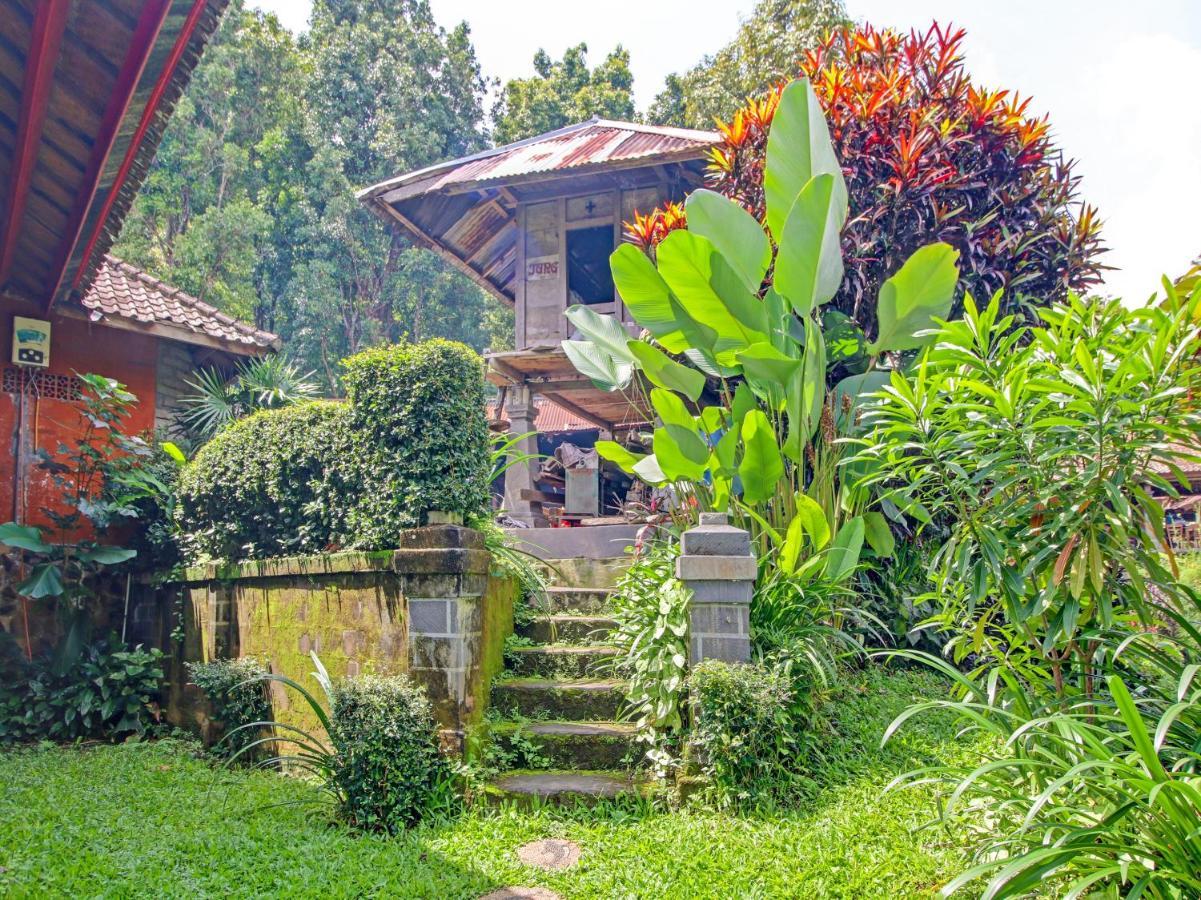 Oyo Homes 91091 Desa Wisata Umejero Munduk Εξωτερικό φωτογραφία