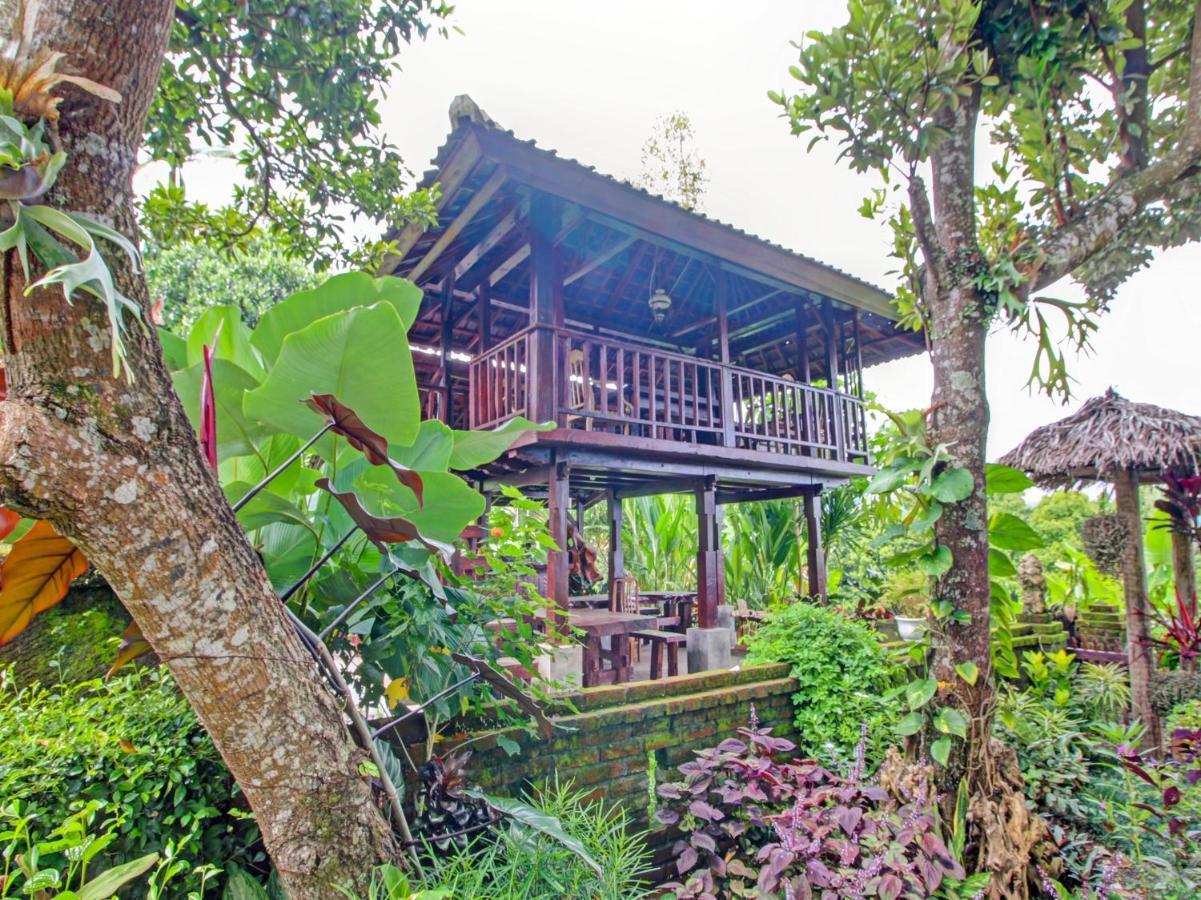 Oyo Homes 91091 Desa Wisata Umejero Munduk Εξωτερικό φωτογραφία